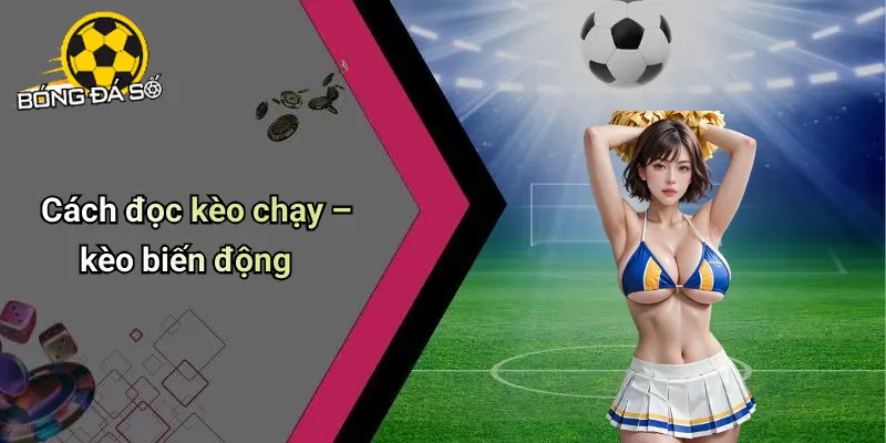 Cách Đọc Tỷ Lệ Kèo Bóng Đá: Hướng Dẫn Chi Tiết Cho Người Mới 3 Cách Đọc Tỷ Lệ Kèo Bóng Đá