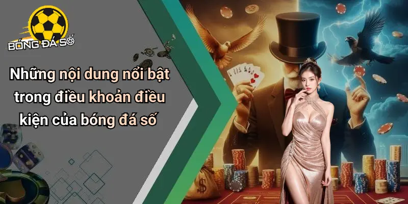 Điều Khoản Điều Kiện
