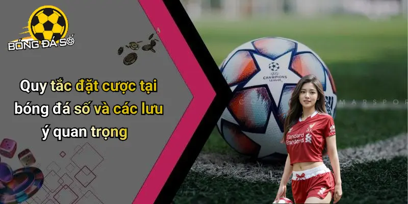 Điều Khoản Điều Kiện