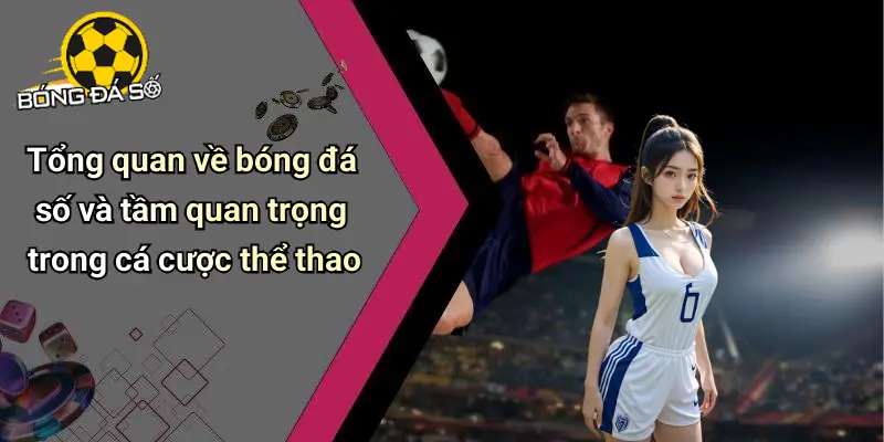 Bóng Đá Số