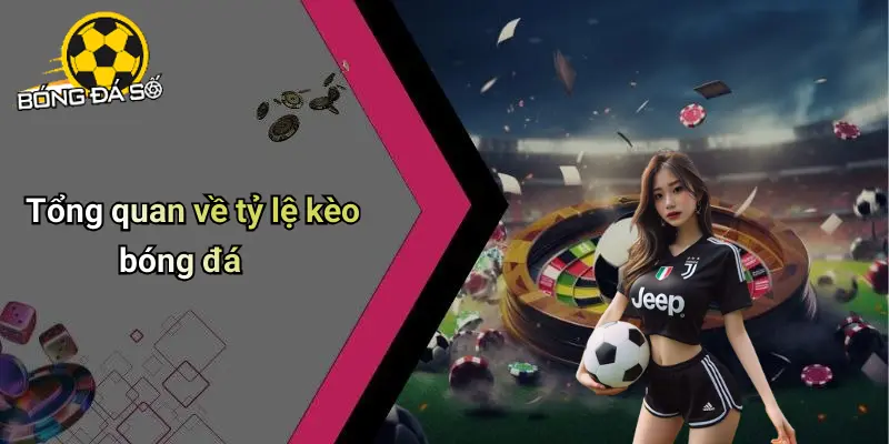 Cách Đọc Tỷ Lệ Kèo Bóng Đá: Hướng Dẫn Chi Tiết Cho Người Mới 1 Cách Đọc Tỷ Lệ Kèo Bóng Đá