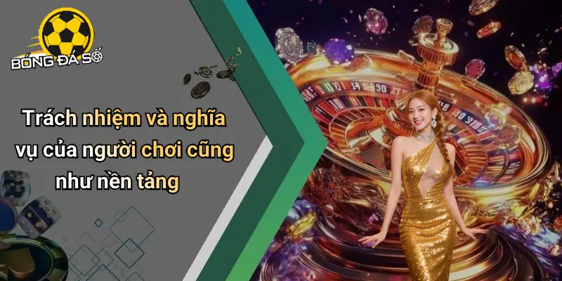 Điều Khoản Điều Kiện